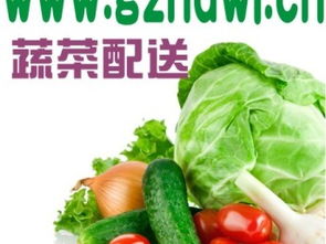 图 为什么要吃有机蔬菜 广州农产品配送公司gzhdwl.cn 广州生活配送