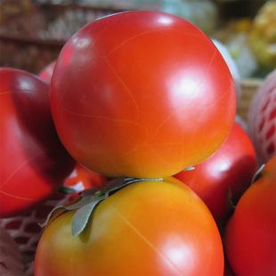 仿真西红柿重装假蔬菜环保泡沫水果厂家直销批发大量采购