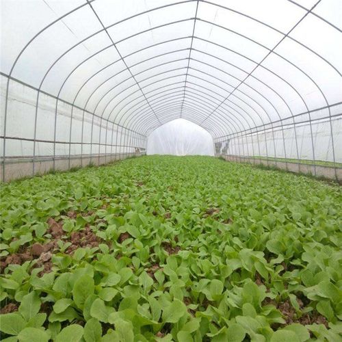 玻璃温室大棚 蔬菜水果种植养护温室 连栋玻璃温室厂家生产